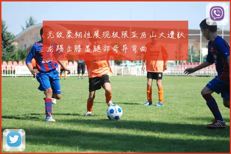 无敌柔韧性展现极限亚历山大遭狄龙踢击膝盖腿部奇异弯曲