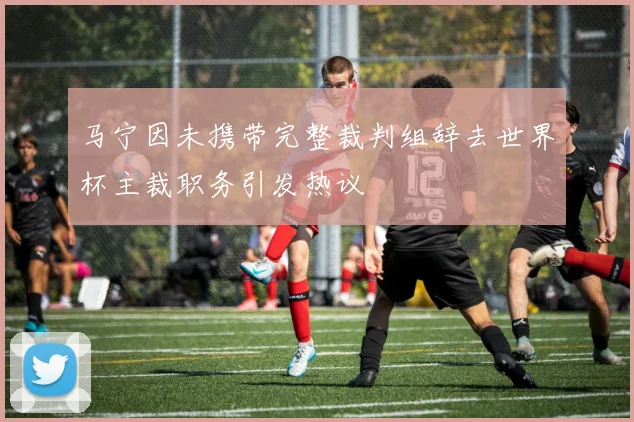 马宁因未携带完整裁判组辞去世界杯主裁职务引发热议